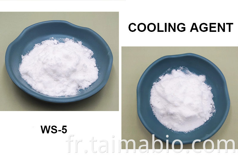 Flavour de saveur à la menthe Additif de refroidissement Agent de refroidissement WS 23 WS-5 pour l'additif de dentifrice